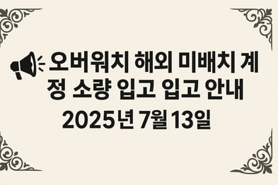 📢 오버워치 해외 미배치 계정 소량 입고 안내 – 2025년 7월 13일